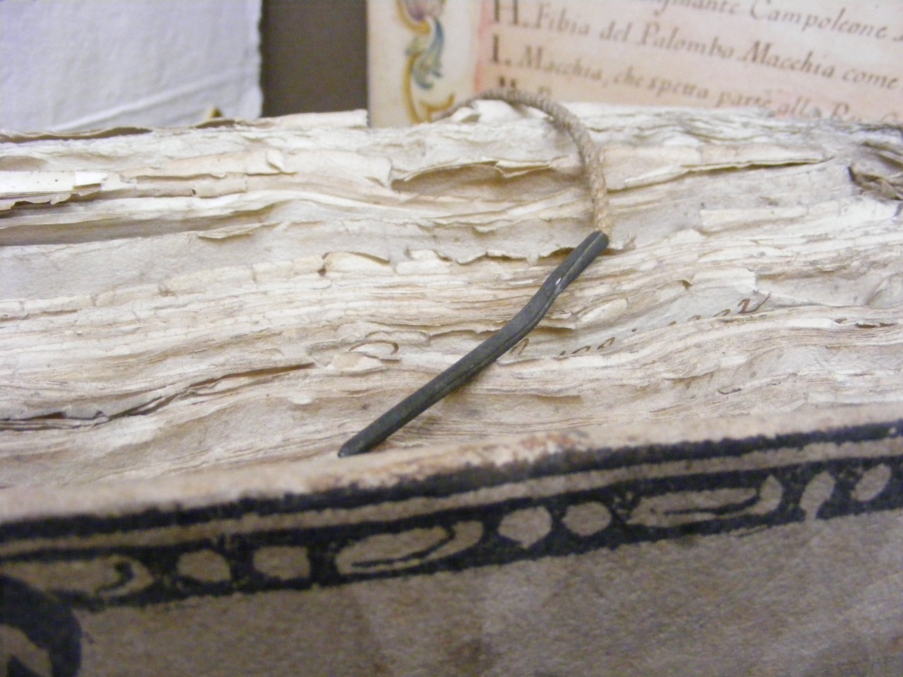 Dettaglio filza con ago e spago