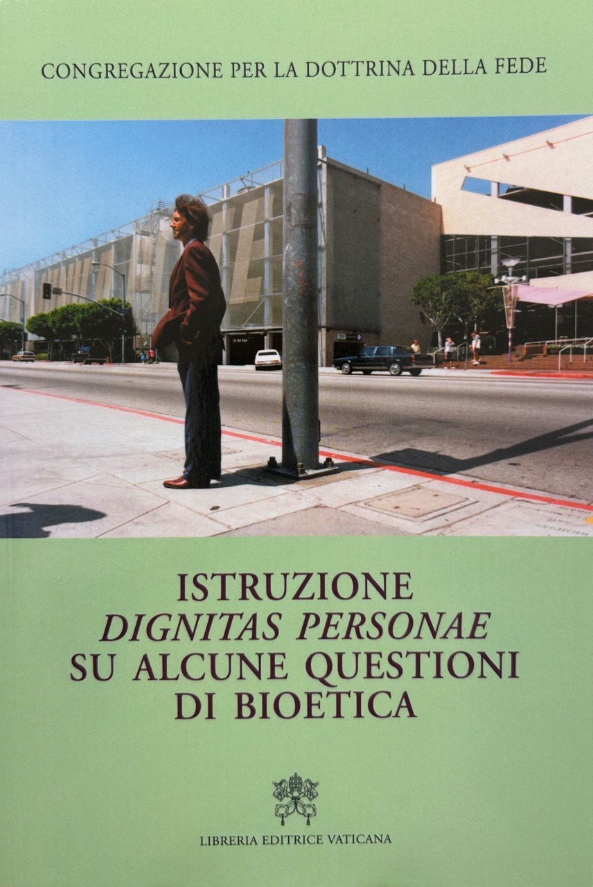 N-Vol.-24.jpg