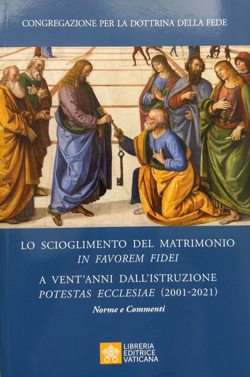 N-Vol.-31.jpg